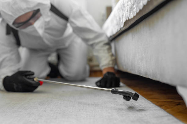 Professional Termite Control technician working in Travilah, MD