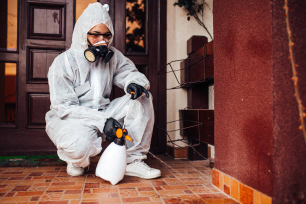 Reliable Termite Control contractor in Travilah, MD by Nex Pest Control